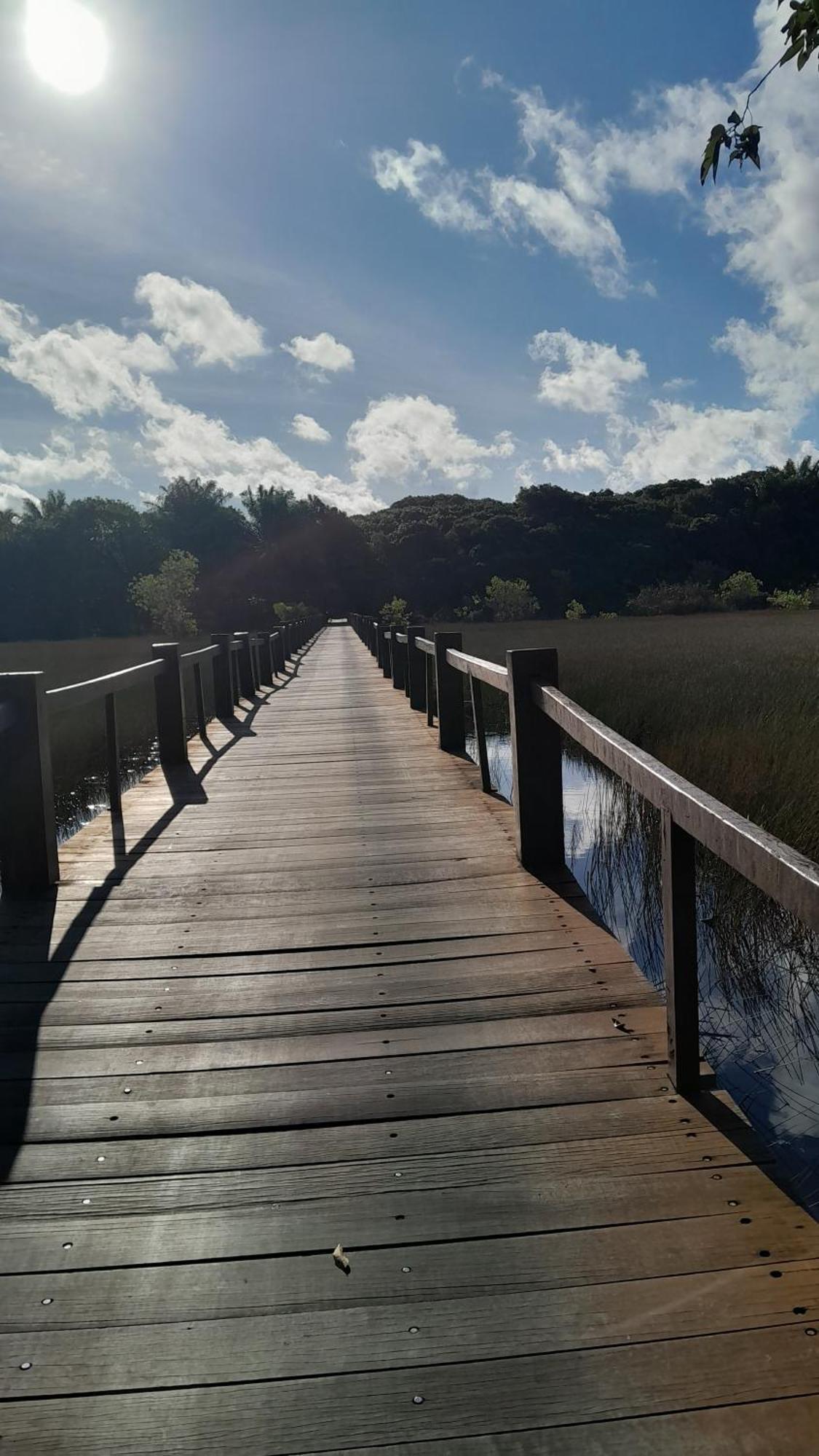 Village Em Itacimirim Lindo, Novo E Tranquilo A 400 M Da Praia Da Espera Exterior foto