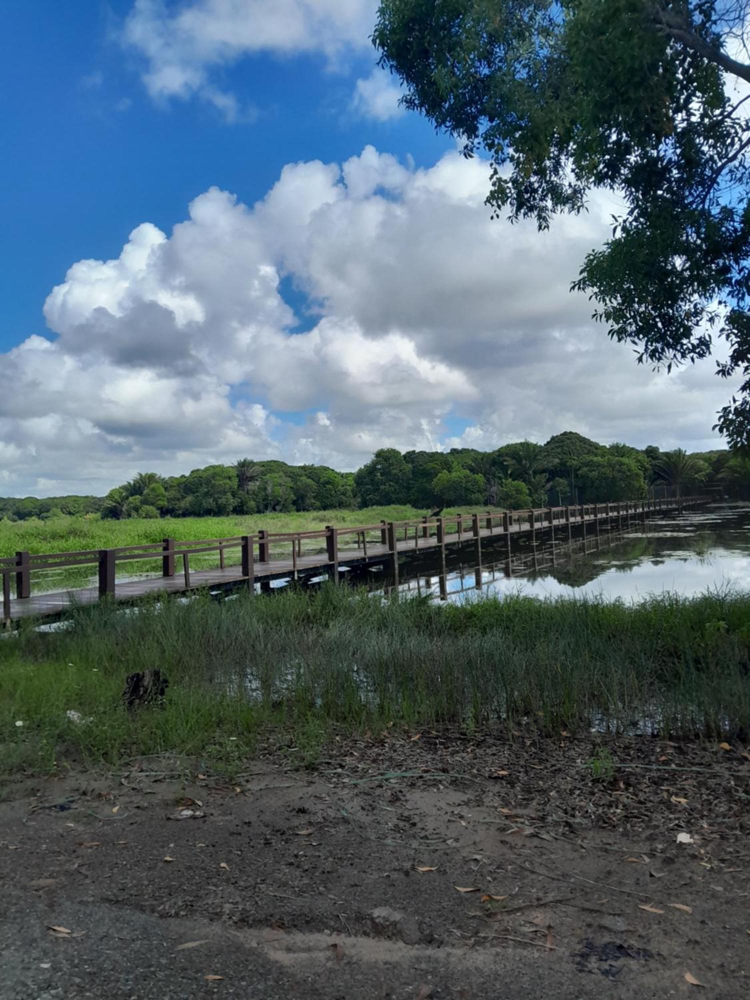 Village Em Itacimirim Lindo, Novo E Tranquilo A 400 M Da Praia Da Espera Exterior foto